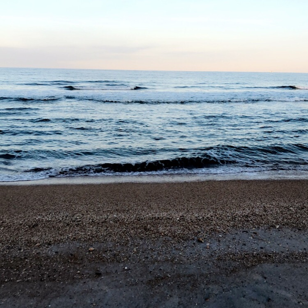 Meet your Posher, Bailey